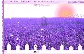虫虫助手下载